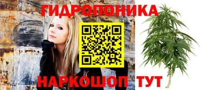 винт Аргун