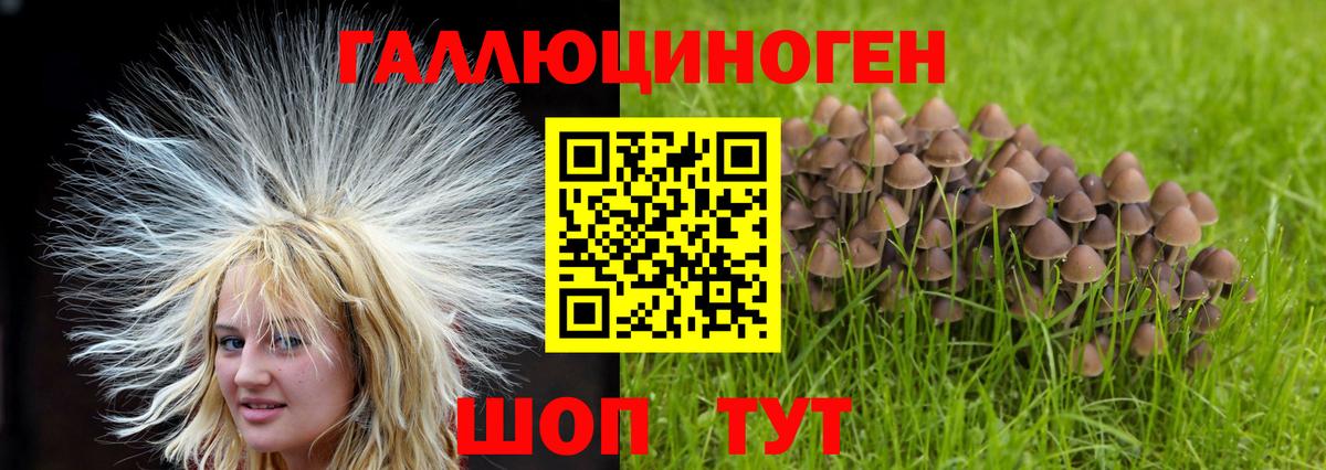 Артём  Галлюциногенные грибы MAGIC MUSHROOMS  Вход с VPN 